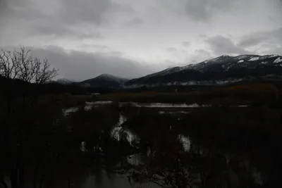 DSC_5879 (Large).JPG